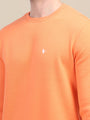 AMSWAN MEN'S ORANGE SOLID COMFORT: PREMIUM COTTON SWEATSHIRT FOR TIMELESS STYLE AND COZY ELEGANCE