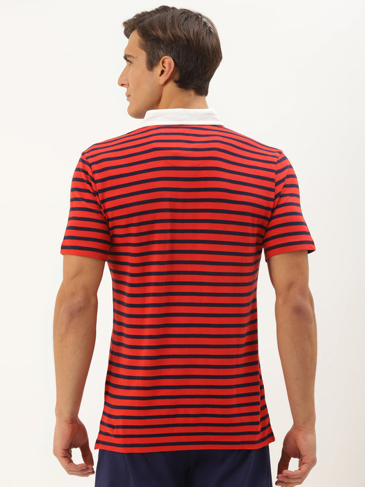 Premium Maroon Cotton Striped Half Sleeve Polo