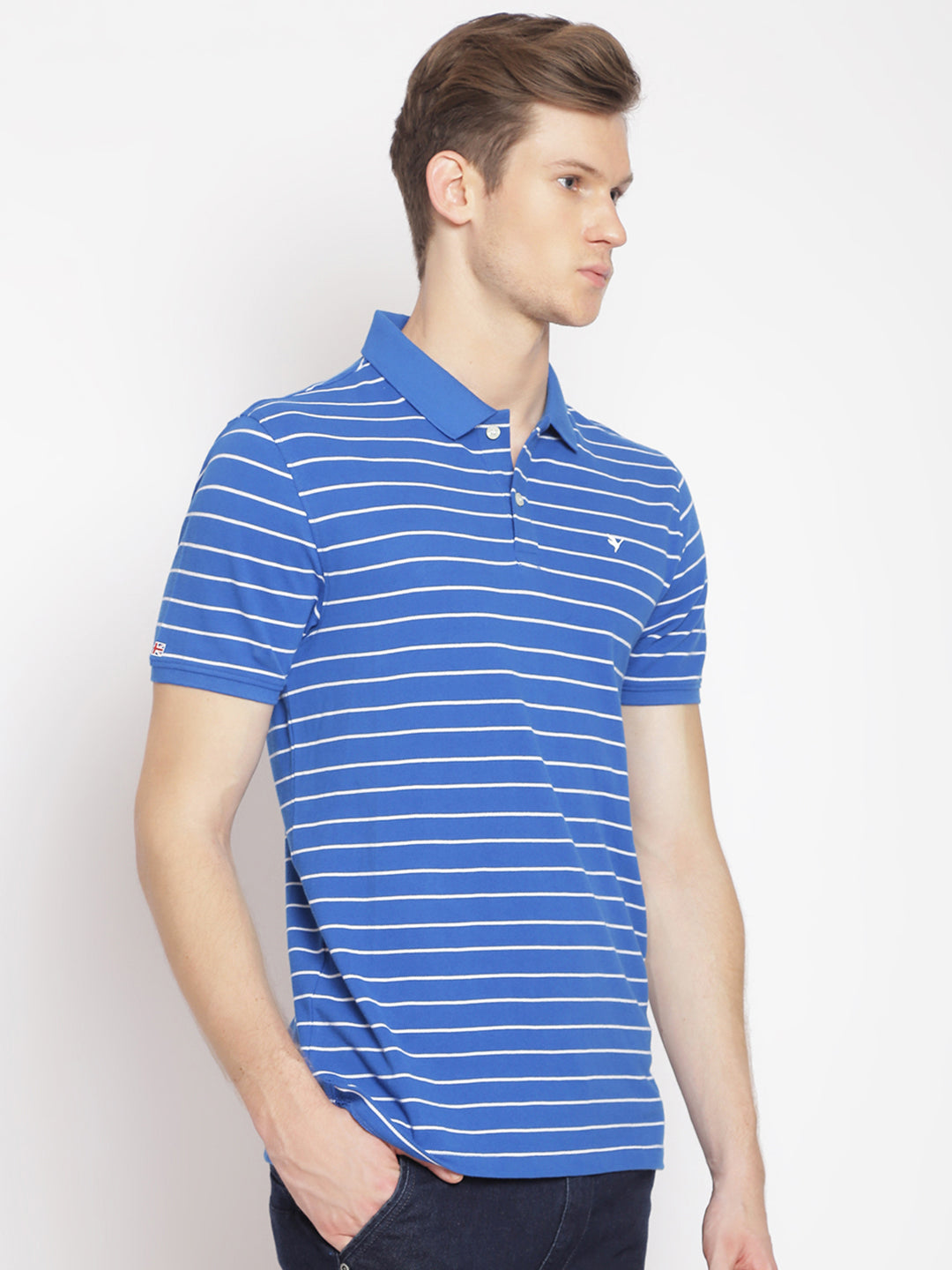 Premium Blue Striped Polo Tees