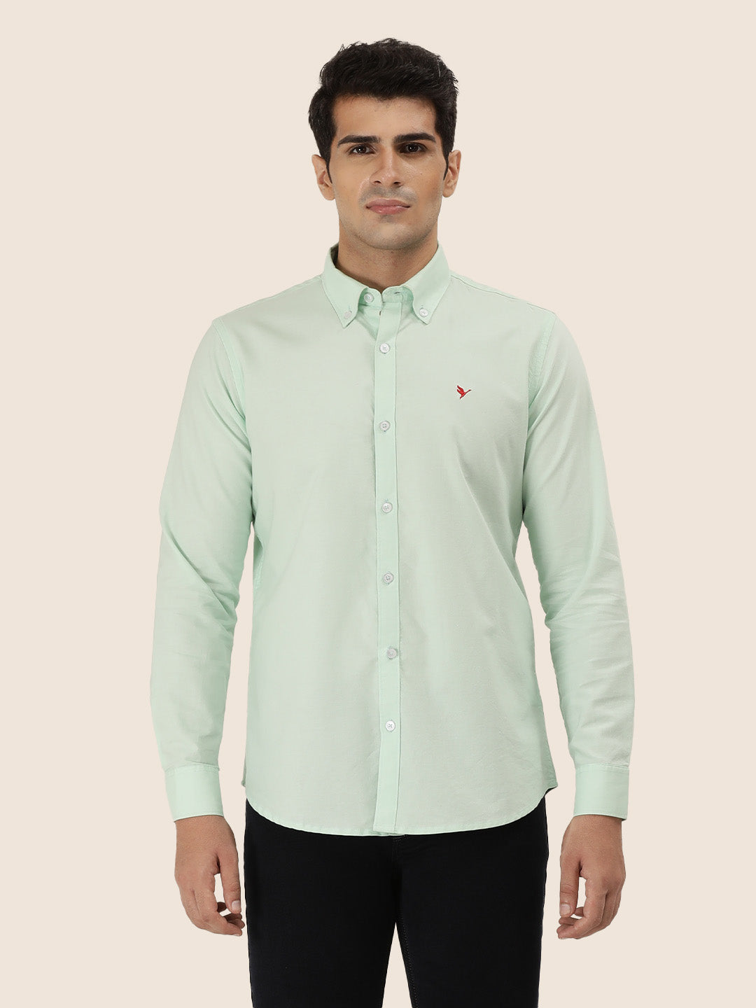 Men'S Premium Cotton Oxford Solid Shirt | Mint Green